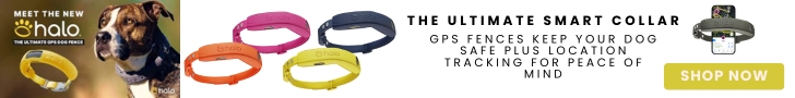 Halo Collar